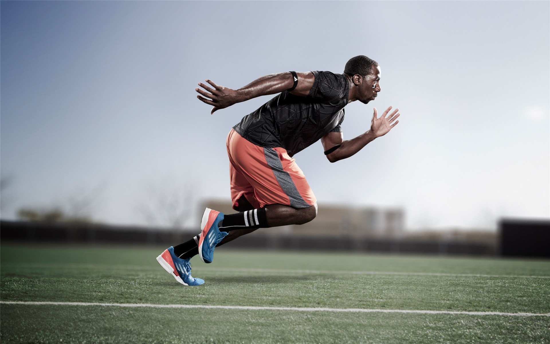 世界杯志愿者招募正式启动，2022年世界杯志愿者申请要求